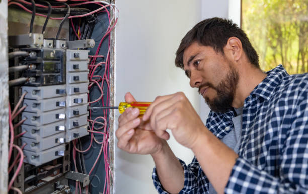 Best Electric Panel Repair  in Texkana, AR